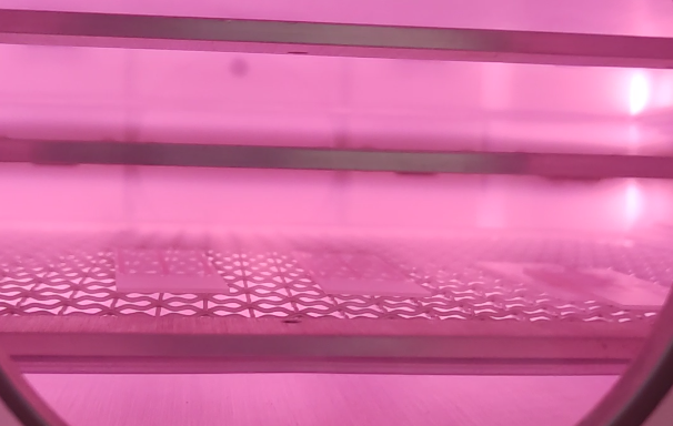 Plasma香蕉视频黄下载机