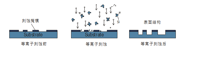 成人香蕉视频在线观看特征3